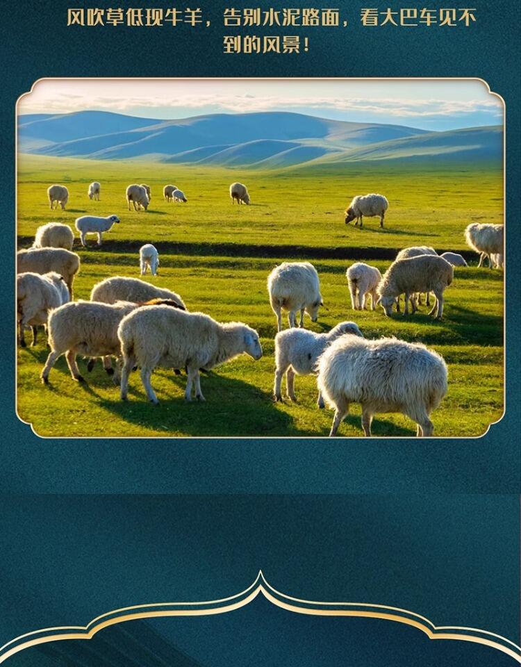 定制旅行 呼伦贝尔旅游满洲里海拉尔7日亲子游大草原包车团购小团 行程图 35
