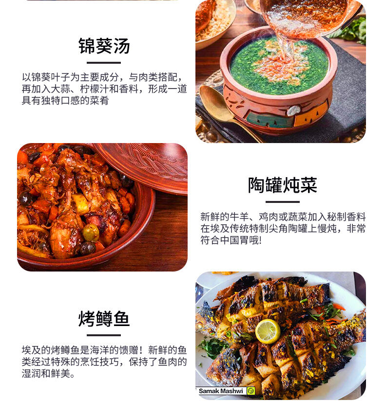 埃及旅游纯玩金字塔尼罗河卢克索阿斯旺红海6-9天五星当地参团 行程图 16